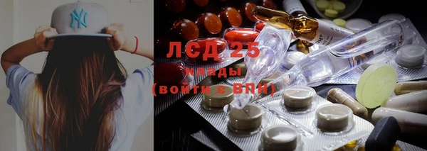 экстази Арсеньев
