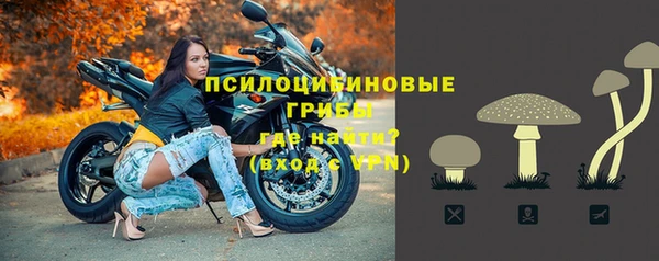 экстази Арсеньев