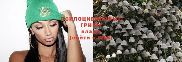 каннабис Аркадак