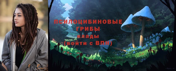 экстази Арсеньев